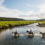 Teton Valley Horseback