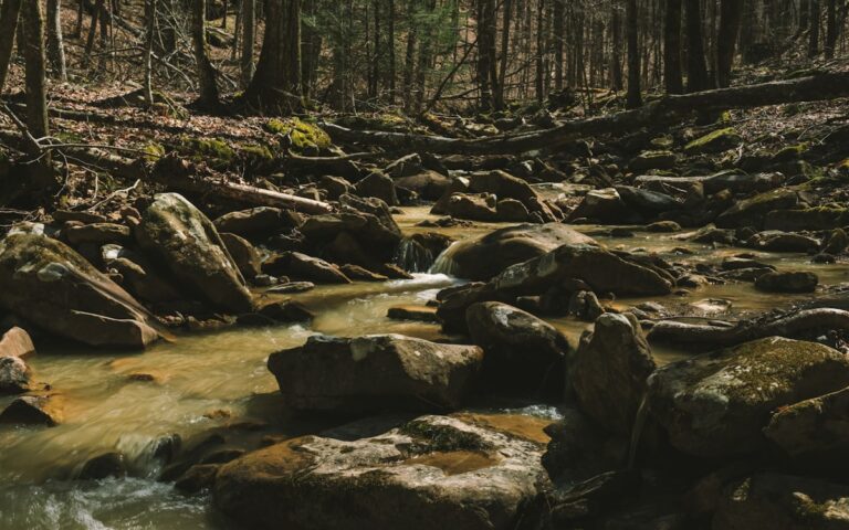 Upper Mesa Falls waterfall cascading through the Idaho wilderness