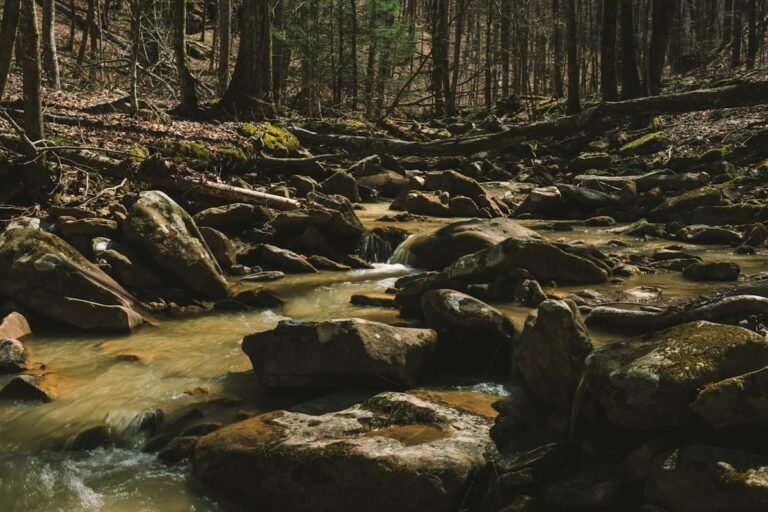 Upper Mesa Falls waterfall cascading through the Idaho wilderness