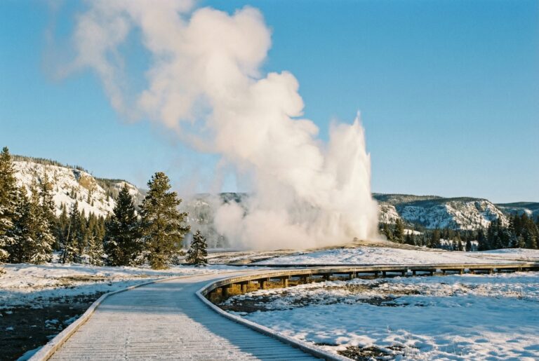 Old Faithful geyser erupting in spring with snow-covered Yellowstone landscape