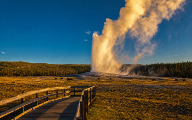 Old Faithful geyser erupting at golden hour in Yellowstone National Park