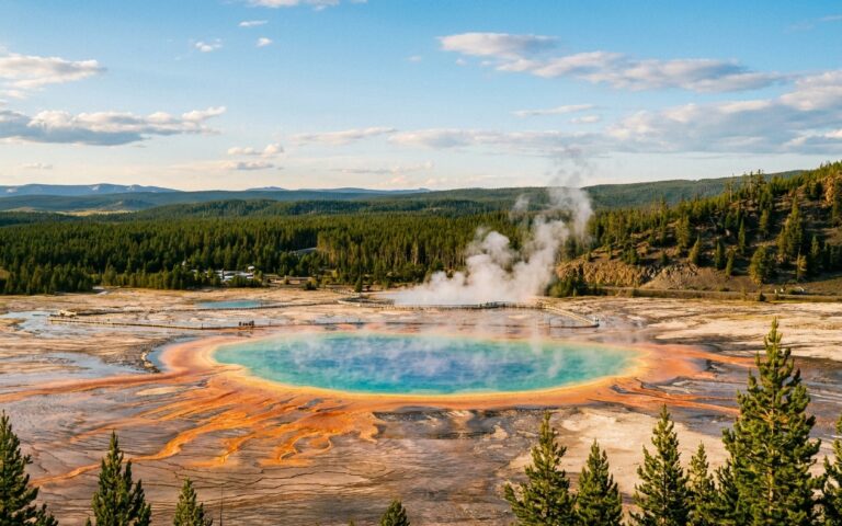 Colorful Yellowstone geothermal hot spring with steam and pine forest in early summer